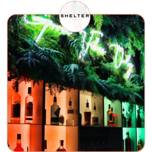 Shelter